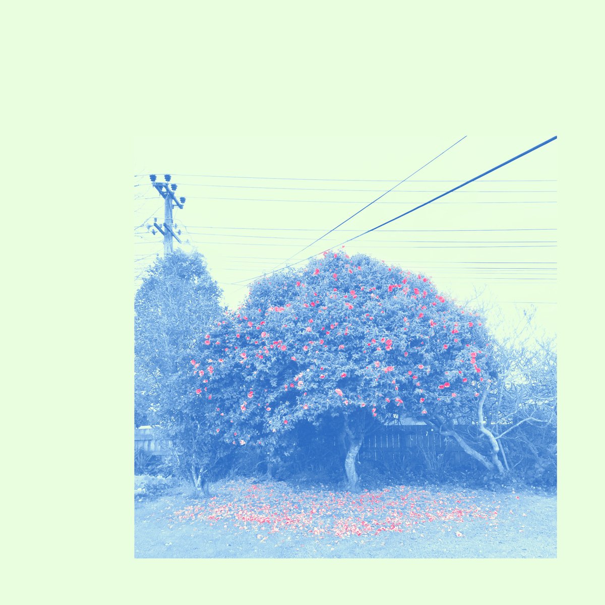 alright it’s out! our new 7 track album Winter Flowers. made with love for your ears. why not put it in them? droor.bandcamp.com or click this here gosh darn link
smarturl.it/WinterFlowers