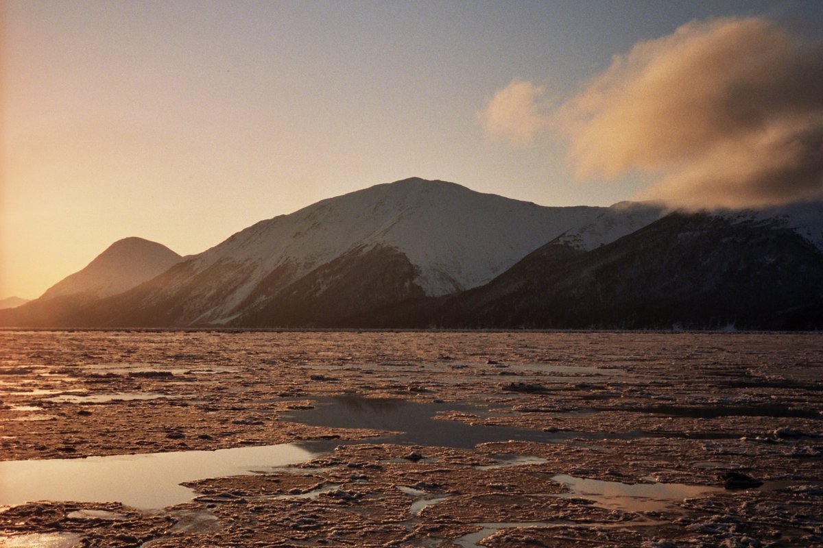 Masonprender's tweet image. Up north in Alaska on film #developyourvision