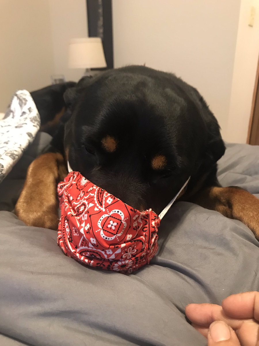 JimiChartrand's tweet photo. Betz is sick of it all. https://t.co/OHDdR63gDC