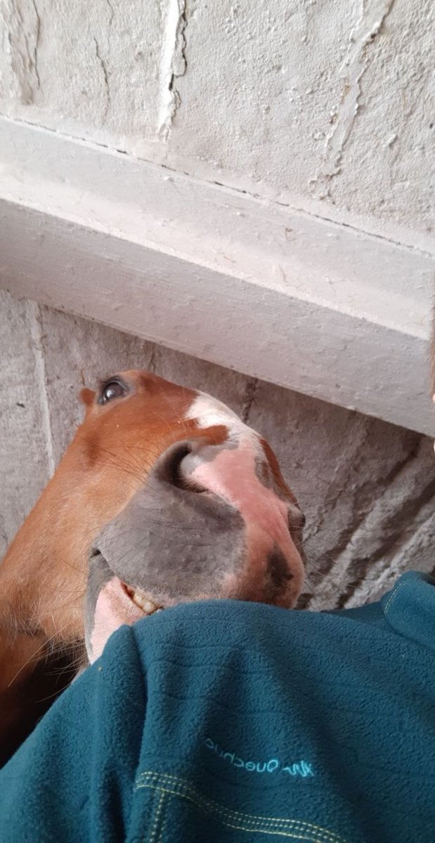 MartinLoc8's tweet image. Avec mon bro à la cité