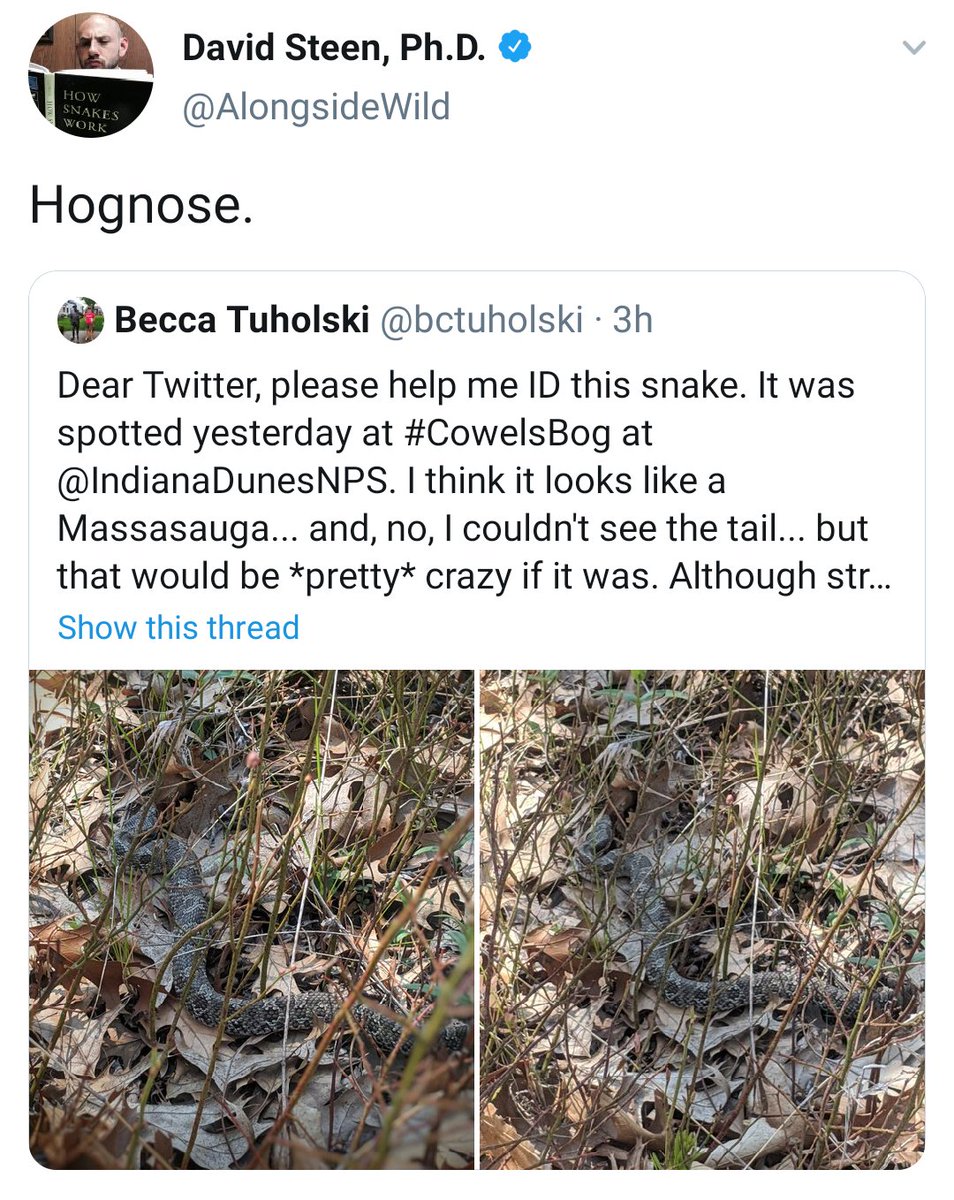 LPMS_aggies's tweet photo. Twitter is cool. I love when people help each other out! 🐍 https://t.co/kGpYLLATPw