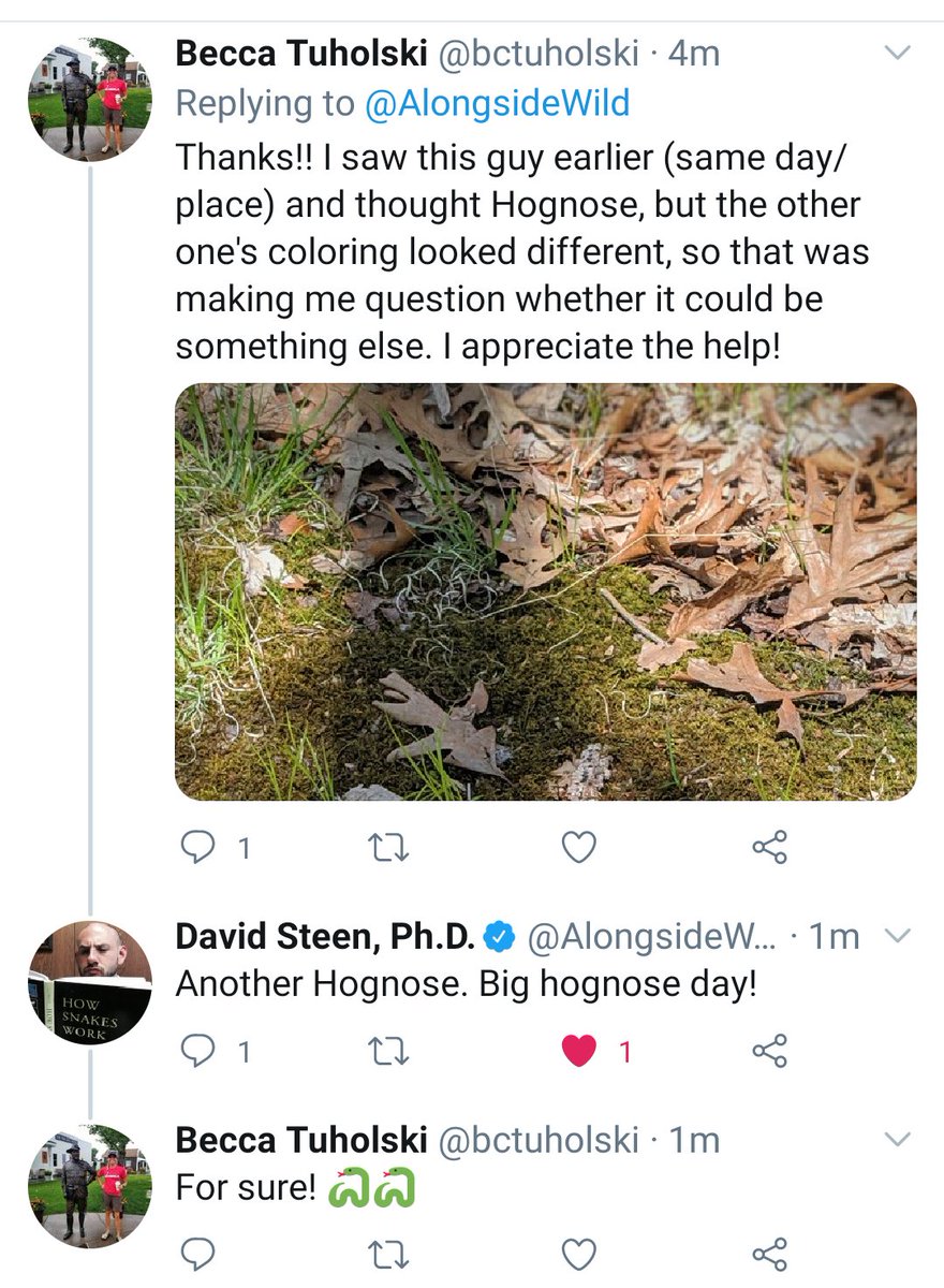 LPMS_aggies's tweet photo. Twitter is cool. I love when people help each other out! 🐍 https://t.co/kGpYLLATPw