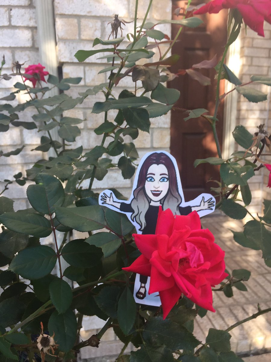 GarzaBHoover's tweet photo. Our wonderful flat principal is enjoying the roses and a ride  with Omega!! https://t.co/mb6MCj3i9X