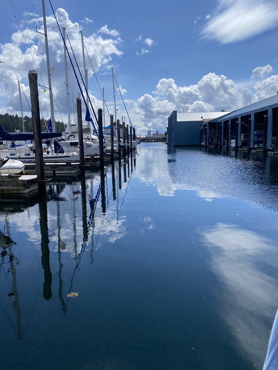 Nanaimo_YCSS's tweet photo. The marina looks stunning today, wishing we could get out and sail! #sailwithus #nanaimoyachtcharters #sailcanada #explorebc #vancouverisland https://t.co/kSivvyzqcS