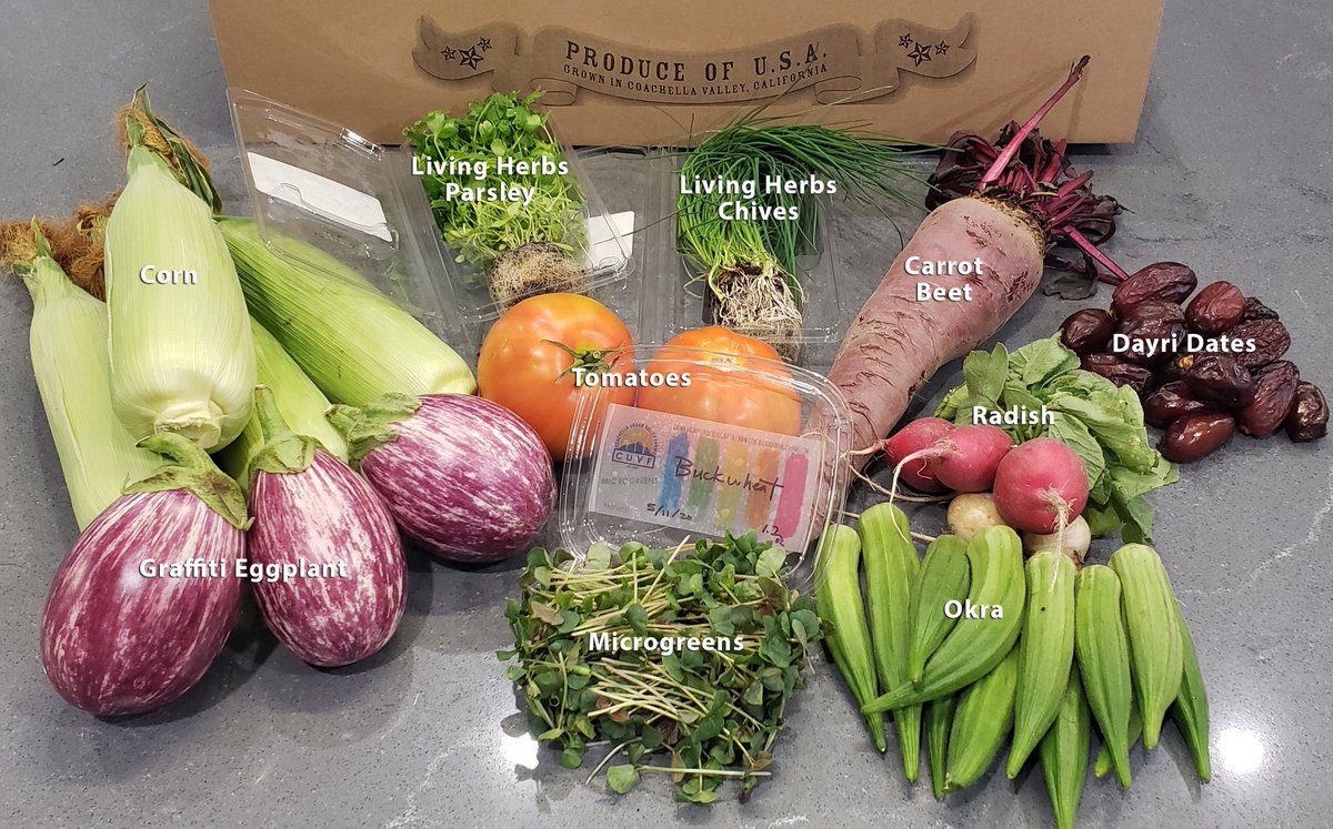 CVHarvestBox's tweet photo. This week's box includes: Ears of Corn, Graffiti Eggplant, Radishes, Carrot Beet, 2 Living Herbs from North Shore Living - Parsley &amp; Chives, Microgreens, Okra, Tomatoes,Dayri Dates.
Check it out, get yourself a box or a subscription at https://t.co/MFltjtkP8I https://t.co/Cp7fVbntcc