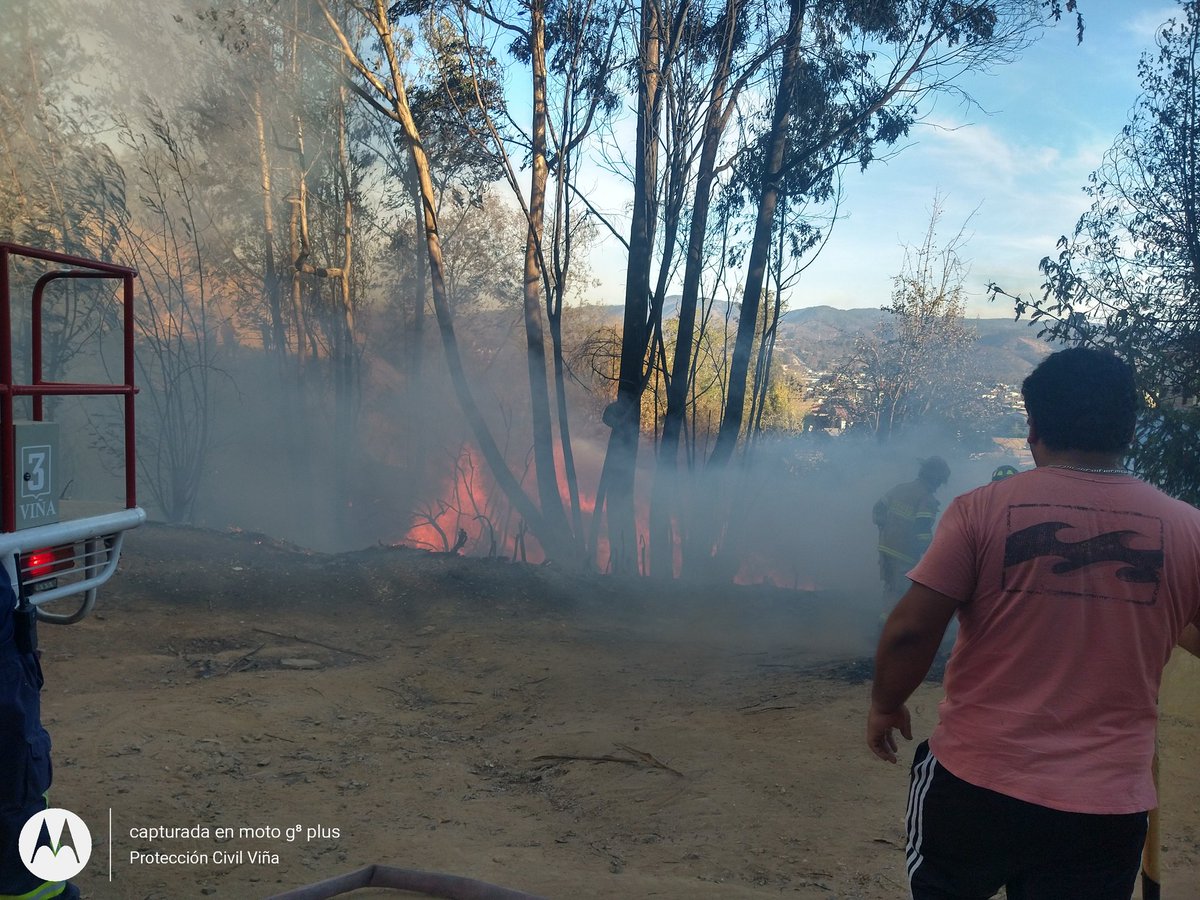 PCivil_informa's tweet photo. Una superficie de 0,73 hect.deja incendio forestal declarado en pobl. Villa Hermosa límite comunal con Quilpué el rápido actuar de. @bomberosvina @bomberosCBQ y @conaf_minagri con apoyo de aljibes @MAmbienteVina no permitió que está Emergencia se propagara a viviendas del sector. https://t.co/rb1d8NCk1N