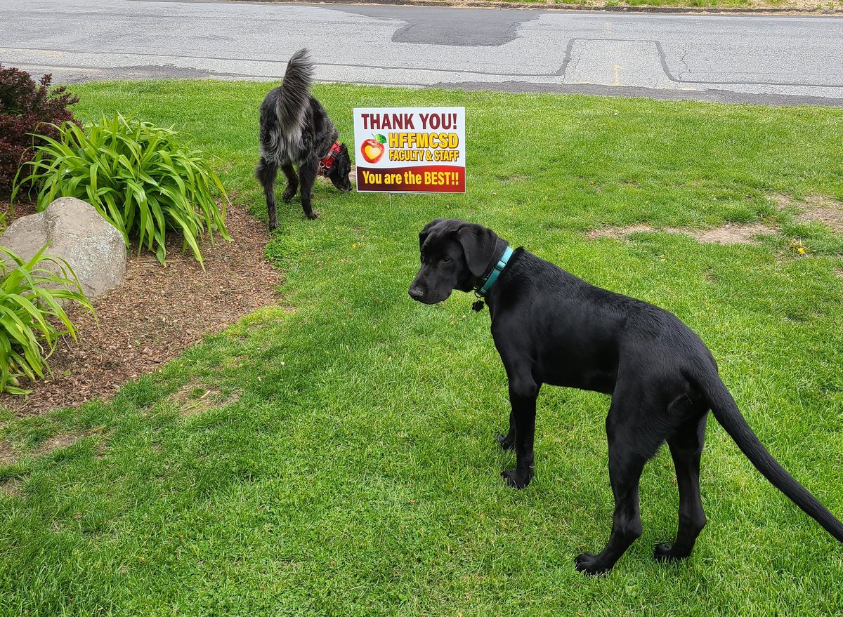 When the dogs are confused as to how someone was able to put this sign here without them knowing..... Thanks you @HFFMCSD !!
