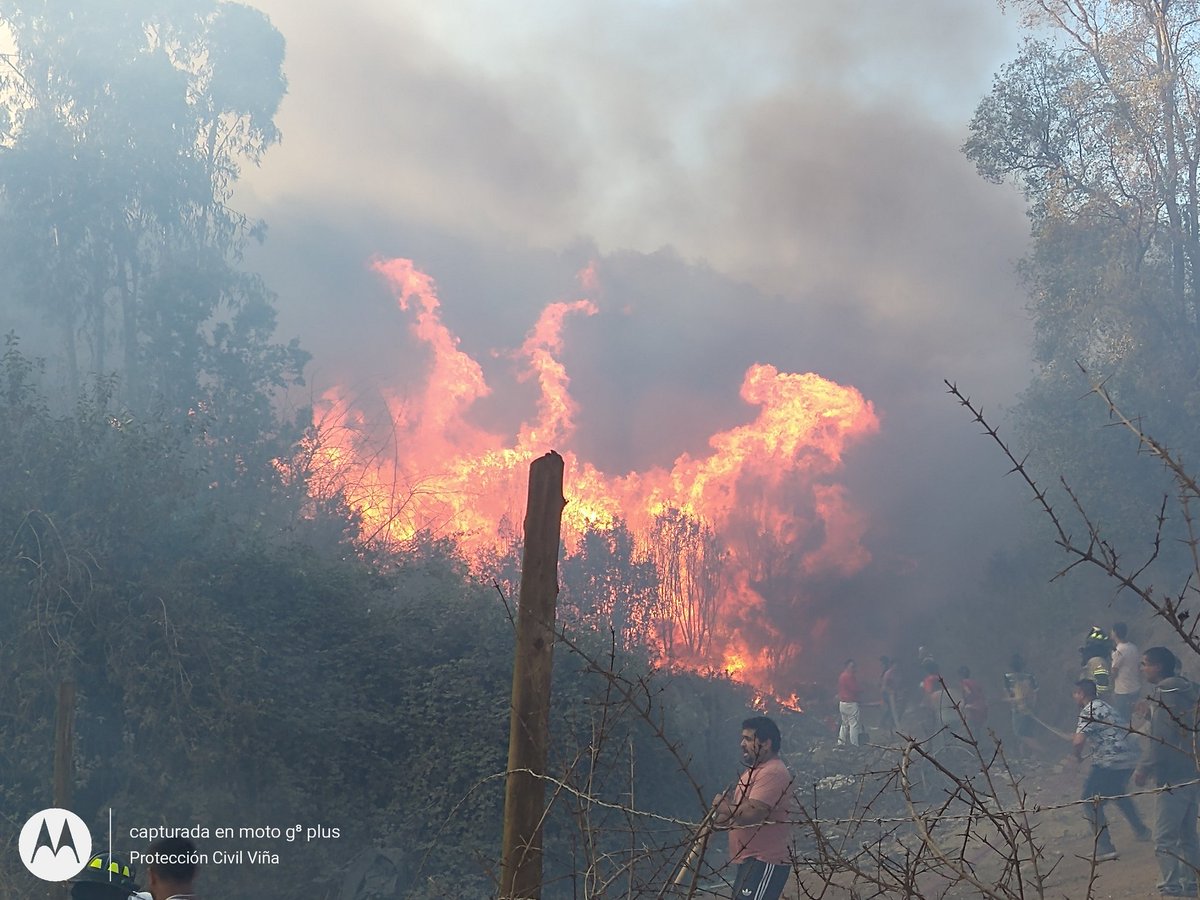 PCivil_informa's tweet photo. Una superficie de 0,73 hect.deja incendio forestal declarado en pobl. Villa Hermosa límite comunal con Quilpué el rápido actuar de. @bomberosvina @bomberosCBQ y @conaf_minagri con apoyo de aljibes @MAmbienteVina no permitió que está Emergencia se propagara a viviendas del sector. https://t.co/rb1d8NCk1N