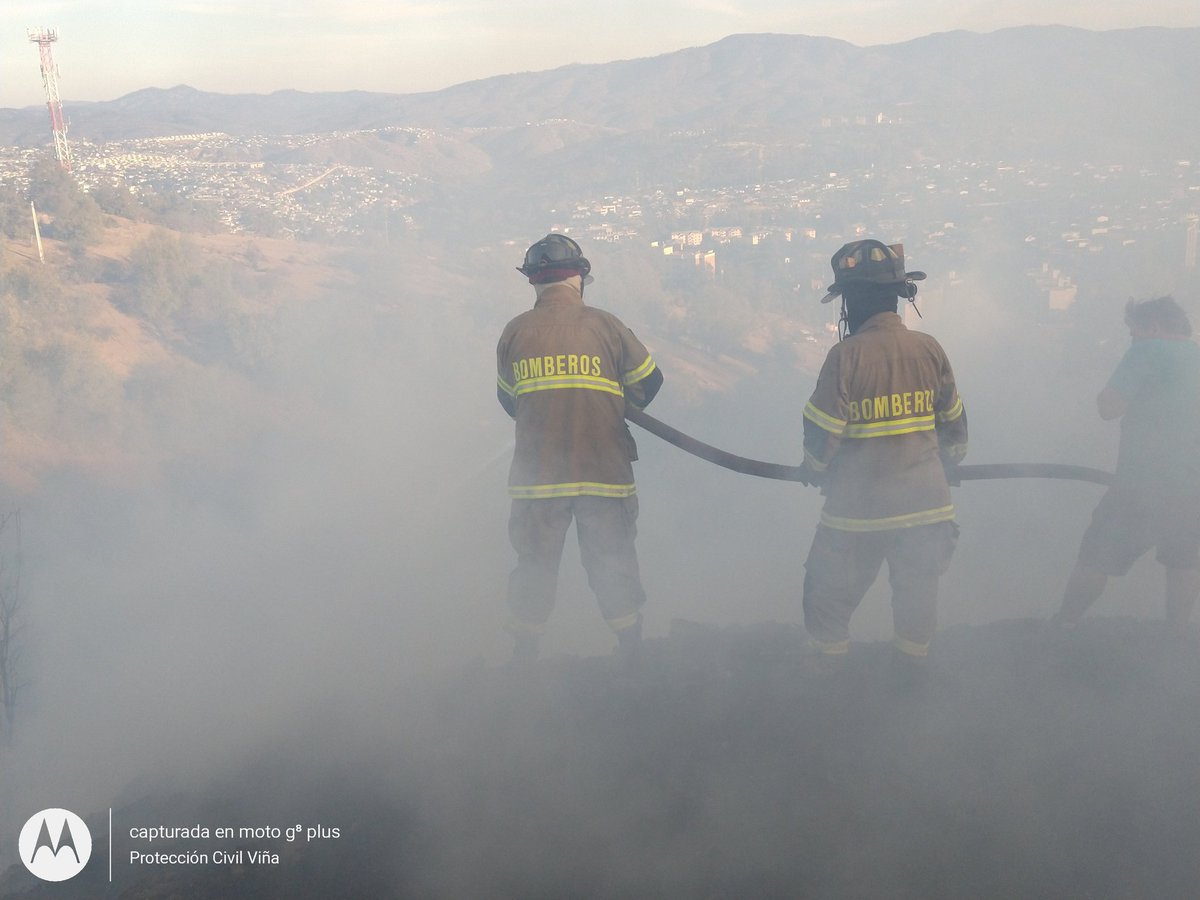 PCivil_informa's tweet photo. Una superficie de 0,73 hect.deja incendio forestal declarado en pobl. Villa Hermosa límite comunal con Quilpué el rápido actuar de. @bomberosvina @bomberosCBQ y @conaf_minagri con apoyo de aljibes @MAmbienteVina no permitió que está Emergencia se propagara a viviendas del sector. https://t.co/rb1d8NCk1N