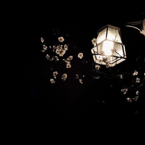 、 𝕺𝖗𝖎𝖌𝖎𝖓𝖆𝖑 𝖛𝖎𝖘𝖚𝖆𝖑 🎼 。

       𝕳ey guys , 我是 ˓ ไทนี่ ˒ 
เวนดี้ 94 ’𝙜𝙞𝙧𝙡𝙨 🕷 gonna do 𓐄 ตามทัก ༝ แลกฟอล 𓐄 𝕽𝖙 and 𝕭 my bestie𝖘 

｜ ยพท ลฟตท 💃🏼 .