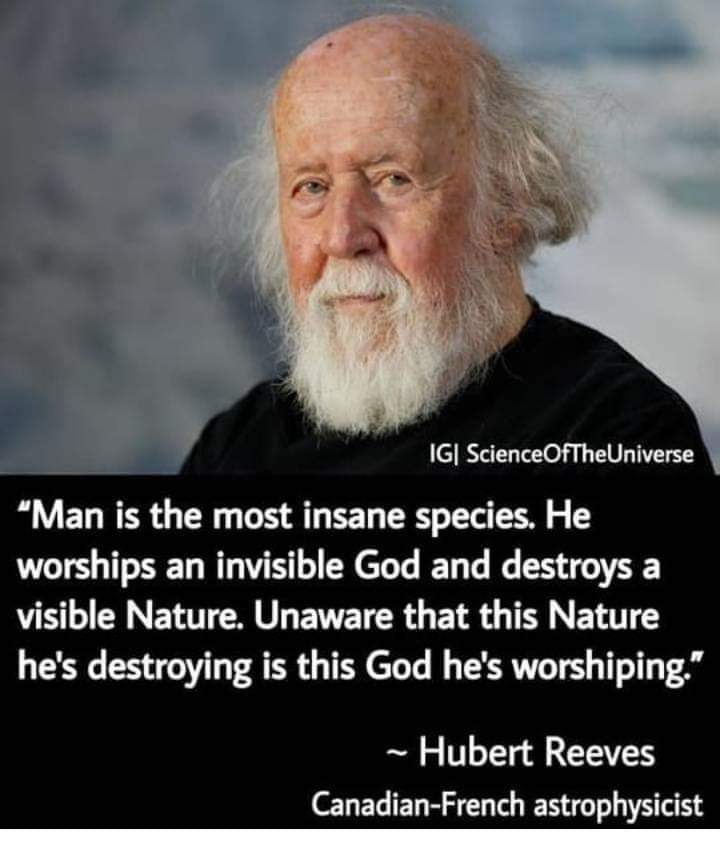 We have lost the meaning of life in connection with nature. As scientists say " when the last tree dies, the last man dies". Think on that for a moment.
