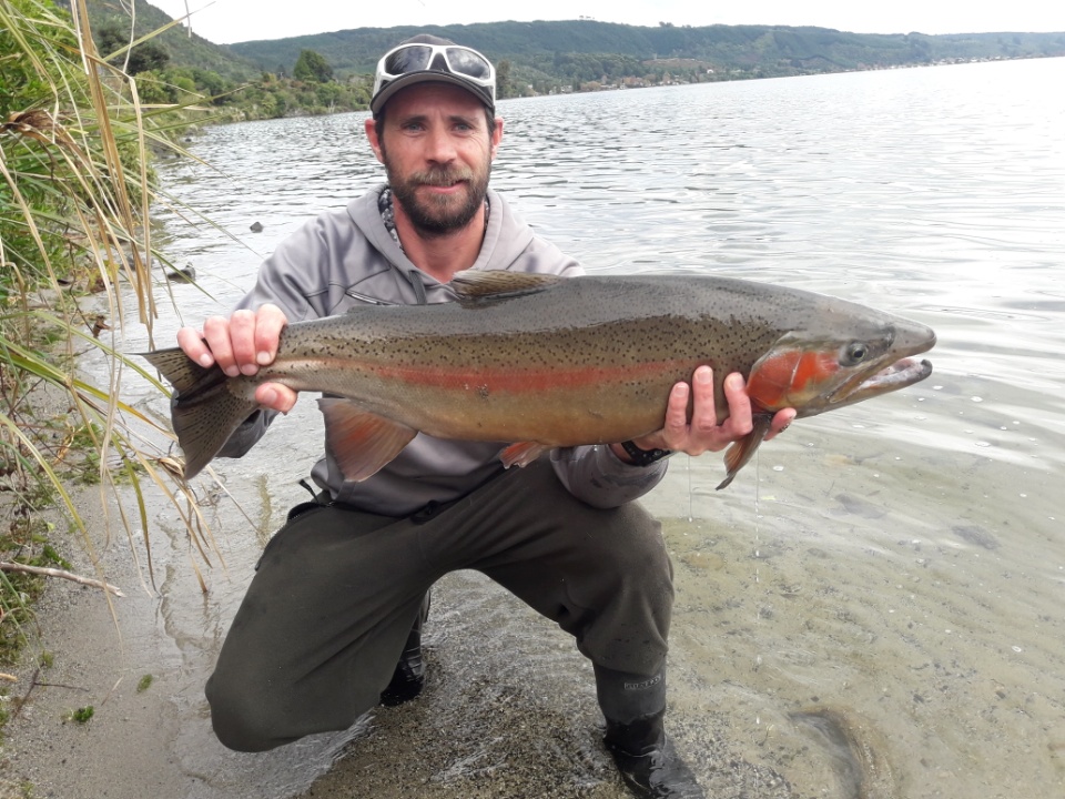 EasternFishGame's tweet photo. Lunker! This 4.82kg rainbow was caught at #Rotoiti today. It was released from the Ngongotaha hatchery as a yearling.
#EasternFishandGame
#NewZealand
#Rotorua
#RainbowTrout https://t.co/FYFgG3Pc7K