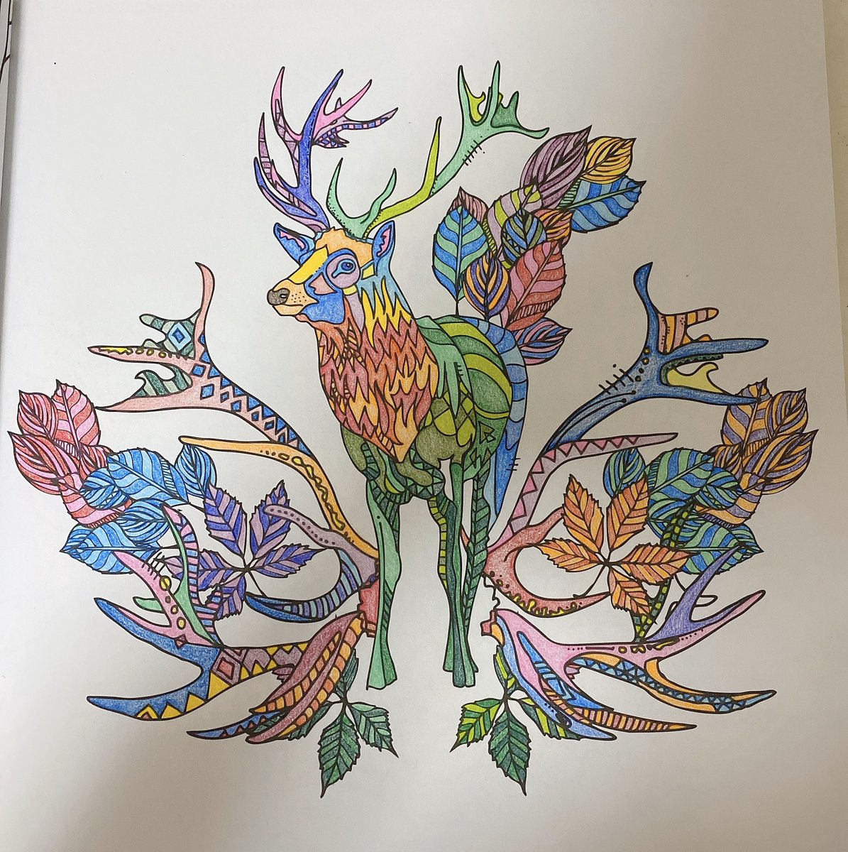 【楽天市場】塗り絵セレクション japan 日本 290000001 b5(182×257×5mm)サイズ おまけ8ページ・本文24ページ 左 塗り絵 趣味 芸能人 - ぬりえ、無料でダウンロードまたは印刷!