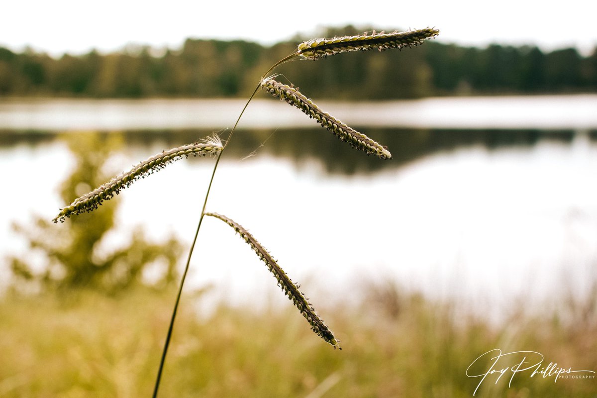 JaysPhotograph5's tweet photo. When spring is going so well! #photography #SpringTime #NaturePhotography #lightroom #photooftheday #folllowme https://t.co/41DHn9iSbY