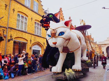 イーペル猫祭り カッテンストゥッツ 特集 21年は開催年 オマツリジャパン あなたと祭りをつなげるメディア