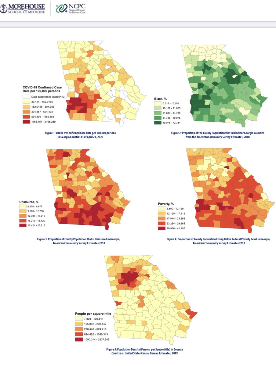 MSM Research tweet media