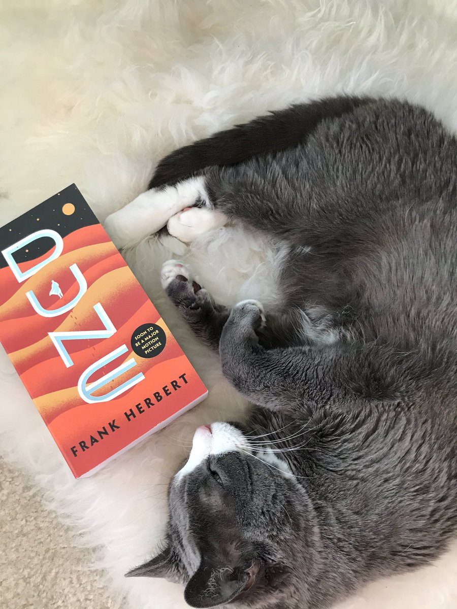 ScottGenet's tweet photo. I loved the movie as a kid. Excited to finally read the book. #Dune #scifi #books https://t.co/qPX7LCxeOe