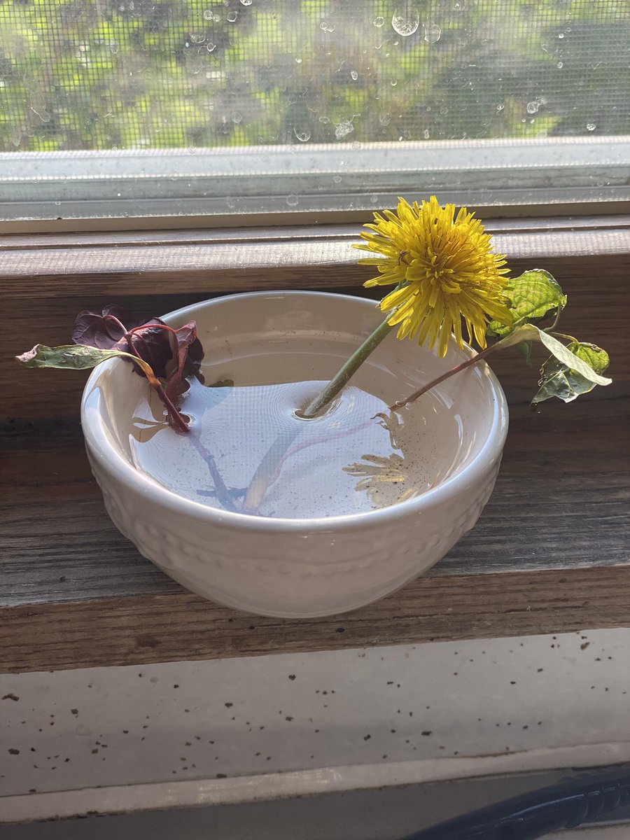 imtirednotdead's tweet photo. This is when every mom in spring time begins to receive the gift of a bazillion “flowers” from their kids. 
#bestillmybeatingheart https://t.co/oY1pxT0RUD