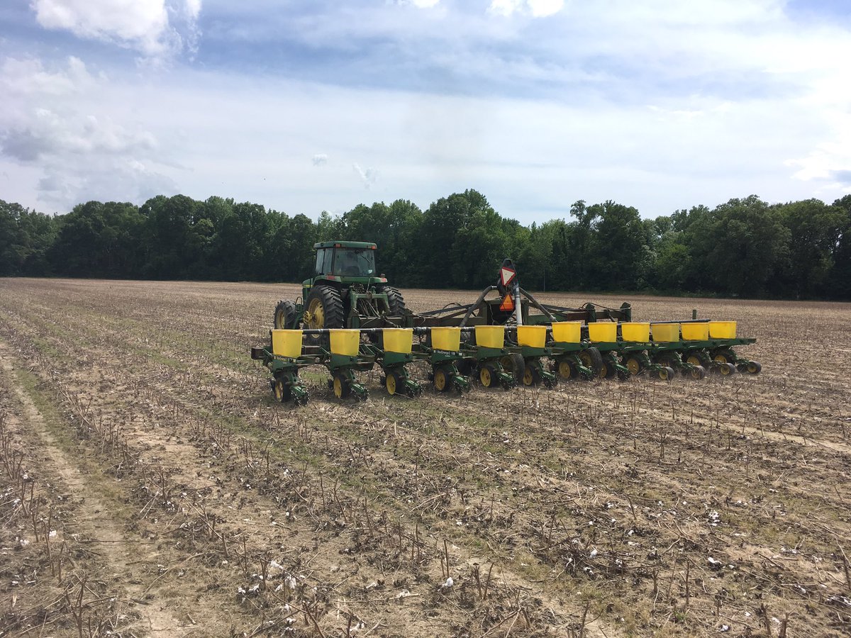 chrlstokes's tweet photo. Was fortunate enough to get two cotton variety trials planted in Tishomingo &amp; Lee counties today. Many thanks to Tishomingo County Agent @zachyow for helping us today.  Always enjoy planting on the banks of Bear Creek. Usually find some nice arrowheads. https://t.co/LNi8oGNWMT