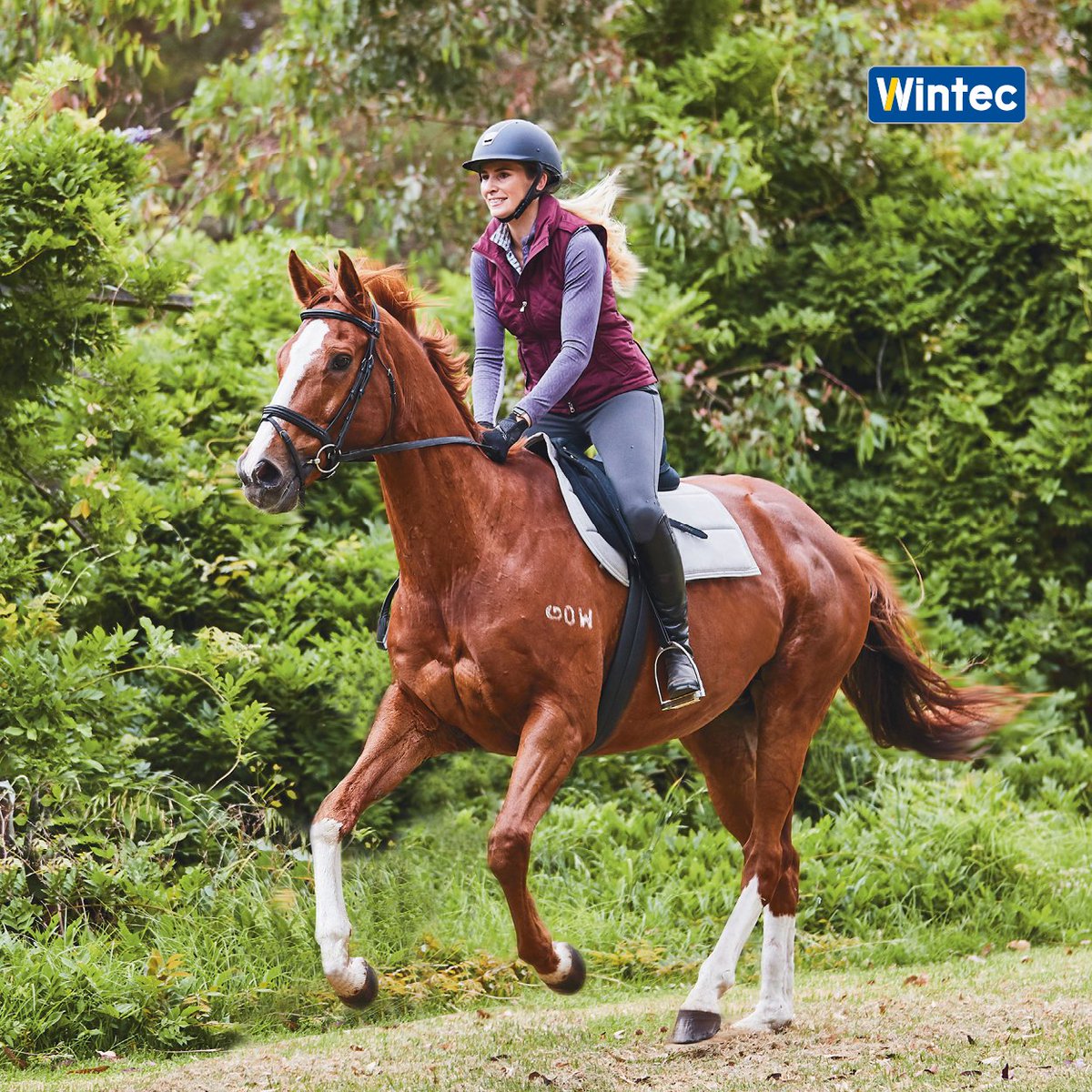 Time to RIDE!

Hit the trails in a balanced and supportive saddle, designed for total horse and rider comfort. View the full range at wintec-saddles.com

 #wintecsaddle #wintecsaddles #noleathernolimits #timetoride