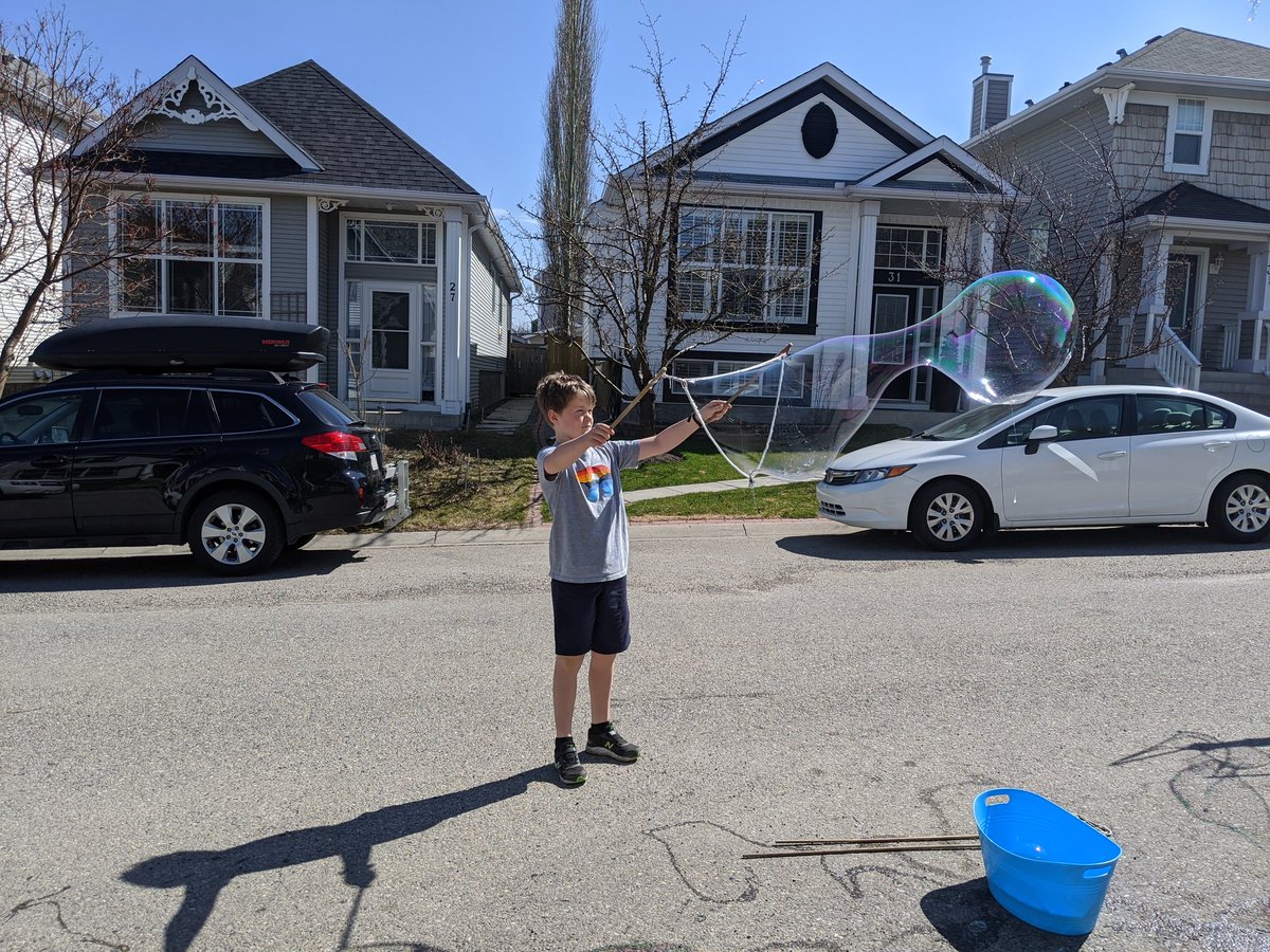 whiting_lisa's tweet photo. Today I am grateful for bubbles, physical distancing conversations with neighbors and that my trip to the vet only cost $260! #REEDSONTHEGO4 #squishycat https://t.co/AtGtGpyW8g