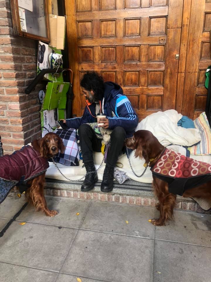 Como No Adorarlos tweet media
