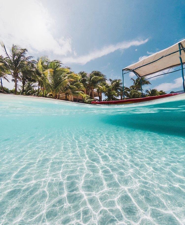MonkeyTours's tweet photo. West Bay Roatan! Una de las mejores playas del mundo! Que lindo Honduras! 🏝🤩🐒😎
-
📸@michaelvilorio
-
#roatán #roatanhonduras #roatanisland #viajesporelmundo #viajesinolvidables #viajesyturismo #honduraspost #honduras #monkeytours #QuedateEnCasa #SeparadosPeroJuntos https://t.co/stRgArwyO3
