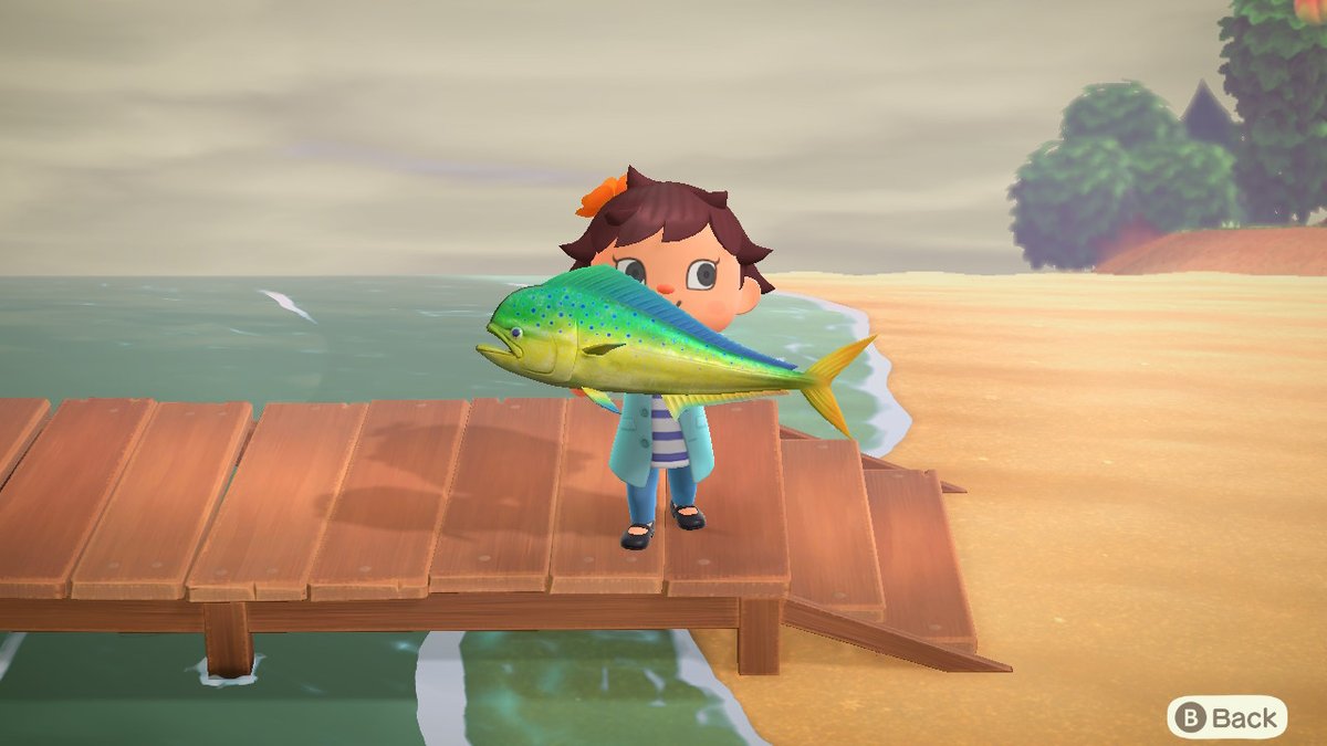 pic 1: when your 5 yo crafts and knows her coat of arms .. pic 2: prized fish, to sell or donate? hurmm