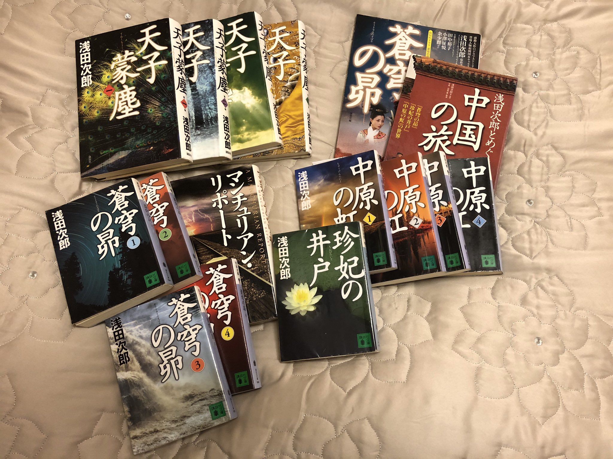 映画と本 蒼穹の昴シリーズ 最高 清朝も科挙も宦官も 元々興味があって読んでいたけど これより面白い本は無かった 登場人物がみな素敵 中華 ふしぎな風土と習慣で彩られたこの国の民を 心の底から愛して下さい 珍妃の井戸 中原の虹