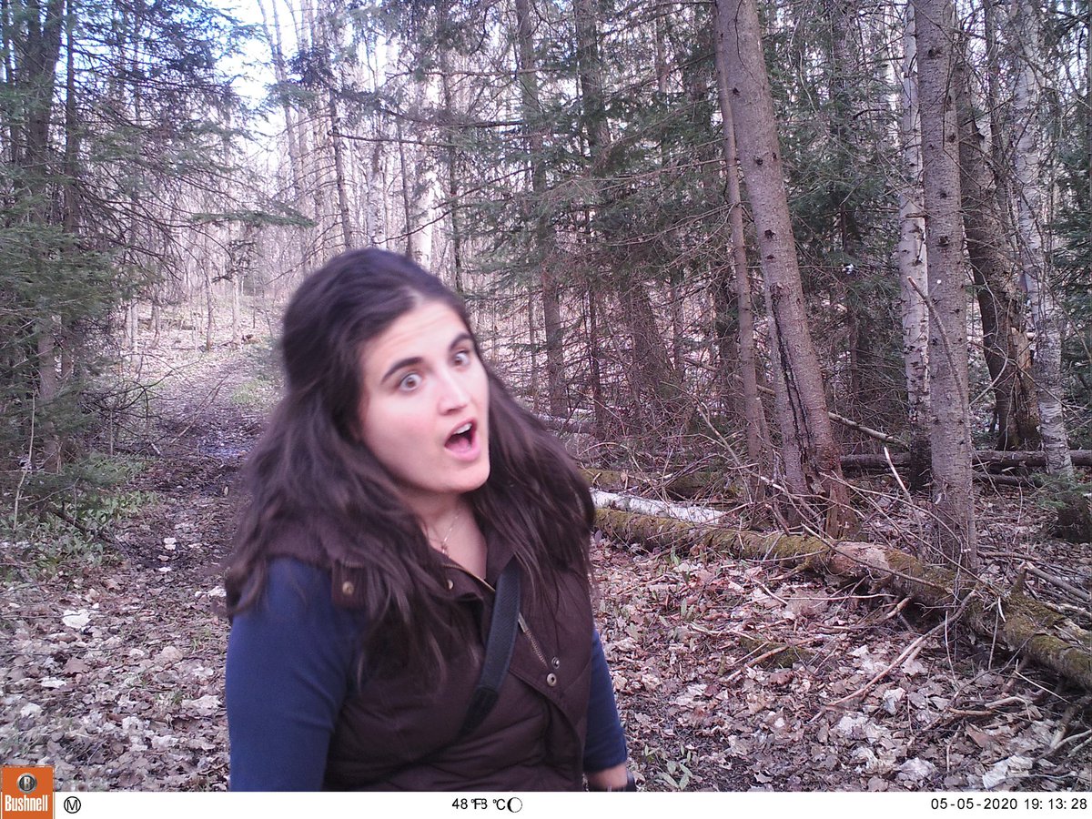 Tingo_89's tweet image. I’m so thankful that I remember where I placed my trail cameras and that they catch only my good side 🙄😅

#WhatWasIYellingAt #SoManyQuestions #Downsides