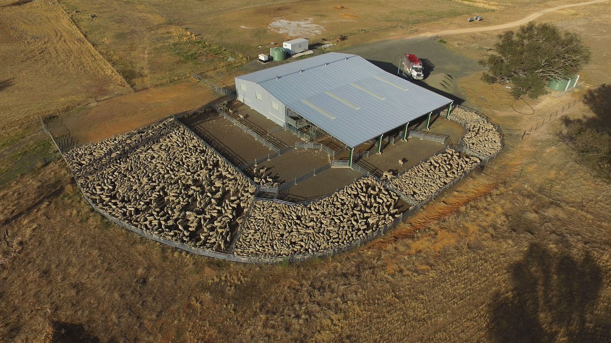 ProWay Livestock Equipment tweet media