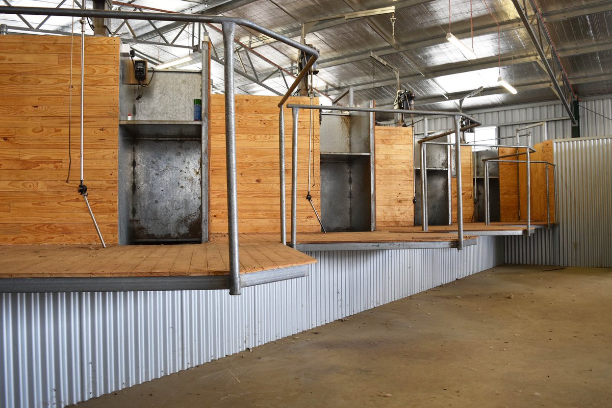 ProWay Livestock Equipment tweet media
