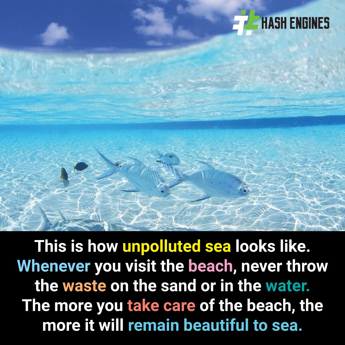 Hash_Engines's tweet photo. Facts About Ocean Pollution
visit us: https://t.co/ayeZGbouBb
contact us: support@hashengines.com
#HashEngines #digitalmarketing #branding #seo #factoftheday #didyouknow #didyouknowfacts #SeaShore #SeaLife #seaview #pollution #pollutionfree #PollutionPlastics #PollutionOverload https://t.co/jUdrbdcw9b
