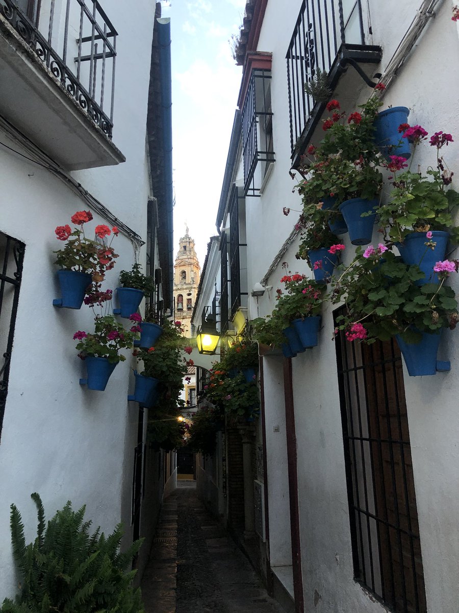 alba_ferri22's tweet photo. Cada día me enamora más ♥️ #cordoba #españa #mezquita https://t.co/Wpb5XAx1pn