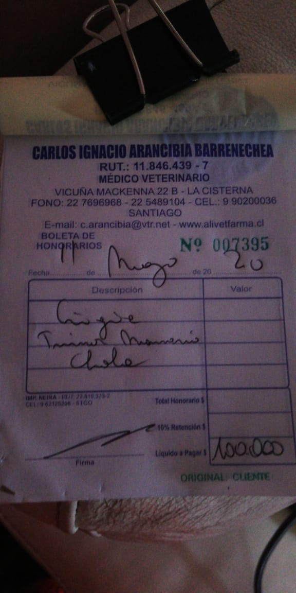 FundacionFscc's tweet photo. Amig@s necesitamos $100.000 para la operacion de la Cholita.
Aportes de $1.000 pesos a la cuenta rut Banco estado 
17.429.632-4
Daniel Meyer Quilodran
Danielmeyer2327@gmail.com https://t.co/3RCzLGlkLq
