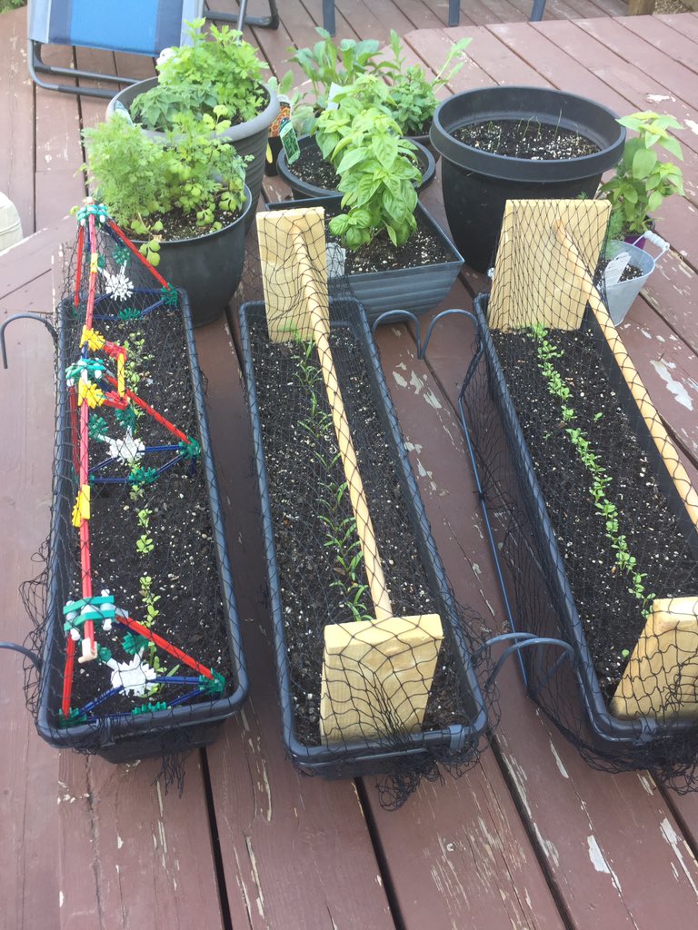 yellowlees's tweet photo. Looking forward to being able to leave the plants outside overnight soon! Gardening tip: if you run out of wood, old K’NEX make a great bird netting support 😁 #pssdwellness @prairiespiritsd https://t.co/gOCs7GqgCw