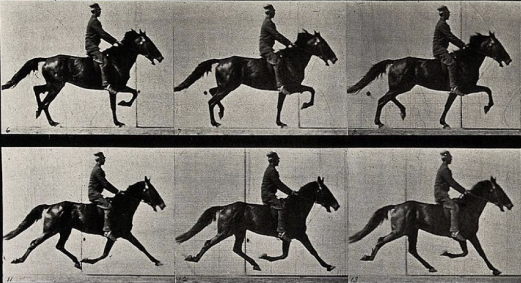Take in a classic film tomorrow night...and we mean *classic.*
LACMA and @TheAutry are co-presenting a live-stream screening of the motion studies of Eadweard Muybridge, featuring a live score. 

Tune in tomorrow starting at 7 pm PST → bit.ly/2X0MYpo