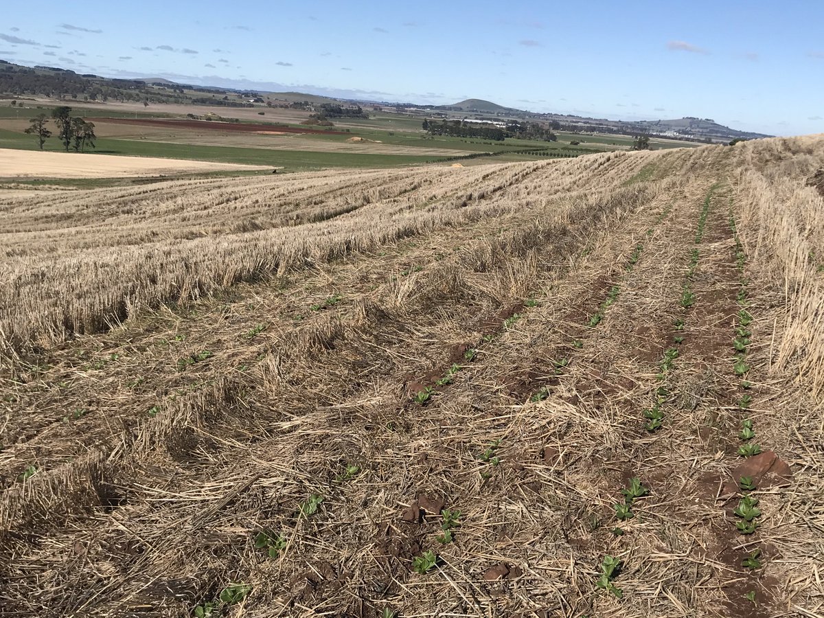 Not a bad view from the office this morning.. #pumped ✊🏽👍