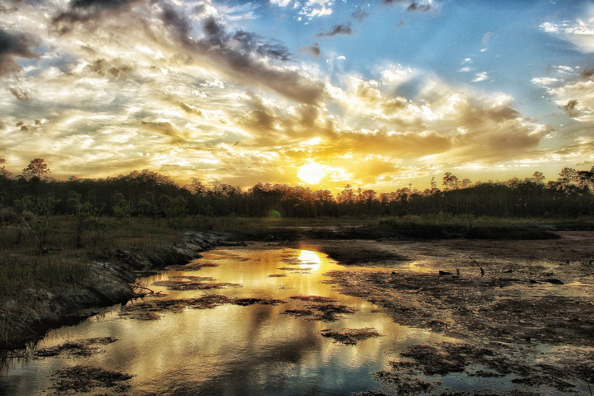 Bjbs2018's tweet photo. "Love at first sight is possible, but it pays to take a second look."

#sunset #photography #photooftheday #natgeo #Florida #sunshine #depth #PhotographyIsArt #PHOTOS #landscape @edayphotos @PicPublic @ThePhotoHour @NatGeoMag @TabletWallpaper @EnjoyNature @CanonUSAimaging https://t.co/saQVAObdnM