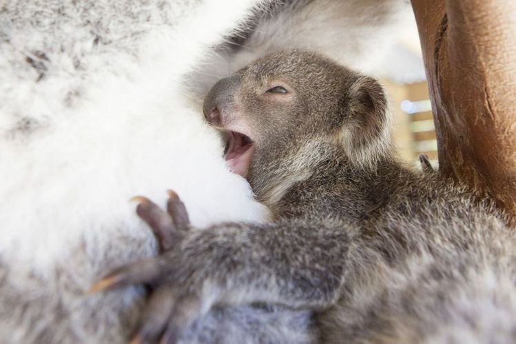 Thursday, May 14th, 2020