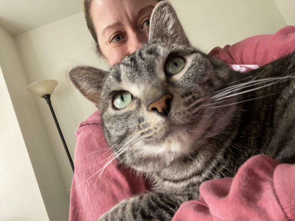 SkyBass47's tweet photo. Checking emails with Mom.  About to jump up on the keyboard and respond with my signature response....  dndnrhjjhghjm577...  #CatsOfTheQuarantine https://t.co/mr3ziIl13O
