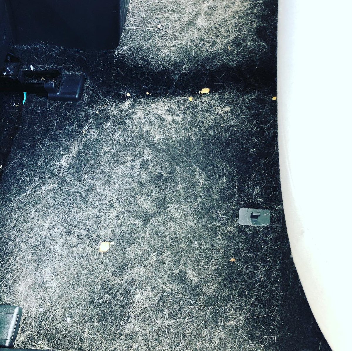 After about 1 1/2 hours our crew got this sedan looking right! Detailing SoCal!