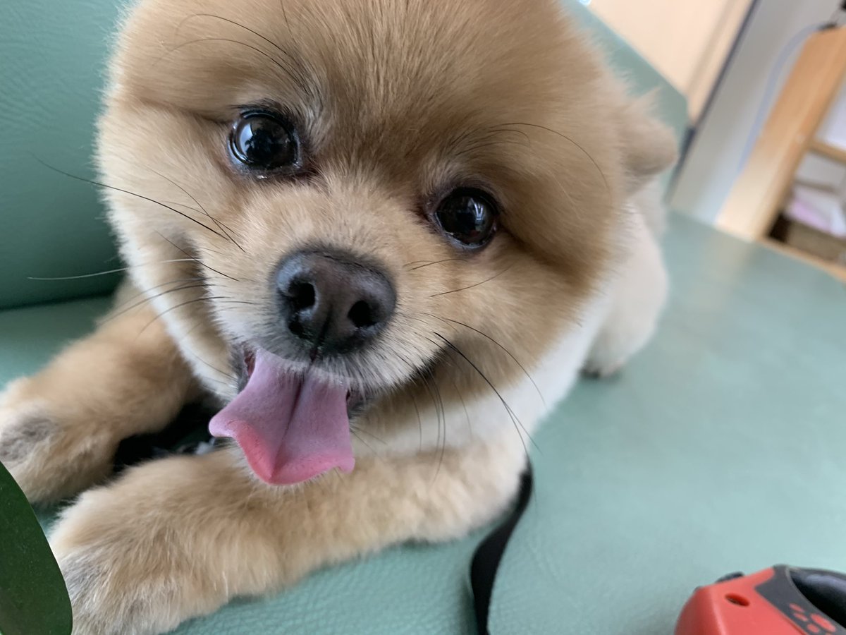 CNT098's tweet photo. 🤪🤪🤪🤪🤩🤪 https://t.co/cQHNwEMOMs