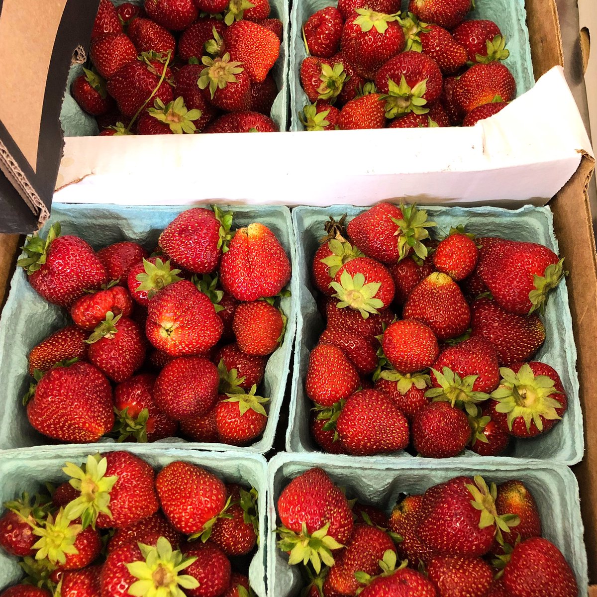 Fair Shares CCSA tweet media