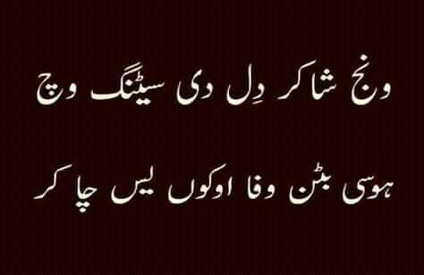MDN_237's tweet photo. #Sarike #Shayeri #wafa https://t.co/8HZ7ErTIPy