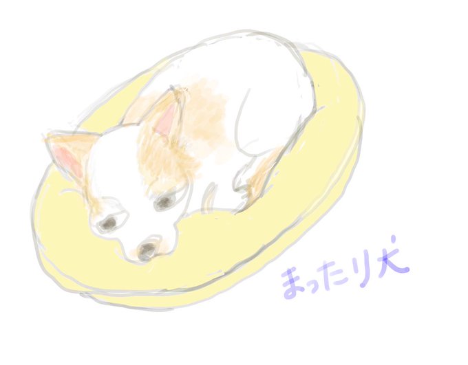 ぶさカワのtwitterイラスト検索結果