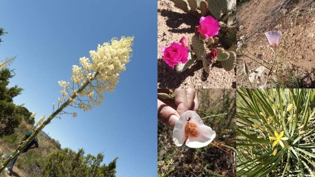 Catherine Montgomery tweet media