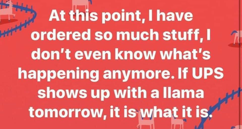 teachergoals's tweet photo. Guilty. 🙋‍♂️🙋‍♀️ https://t.co/e1dTyGl9Xk