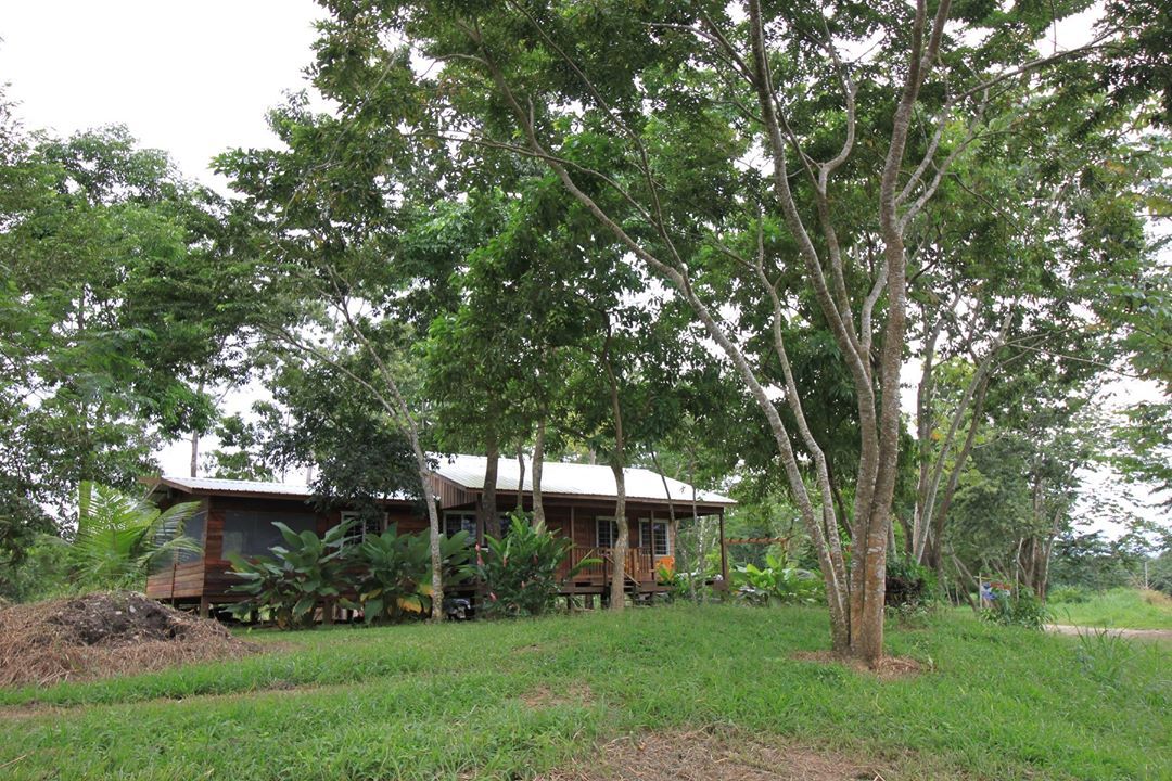 BPFS77's tweet image. On the Swasey River, just outside the village of Red Bank, a 30 minute drive to Independence Village, you will find this charming property with views that just won't quit.  From the spectacular sunrise to the gorgeous sunset you won't get tired of what mother nature has to offer.