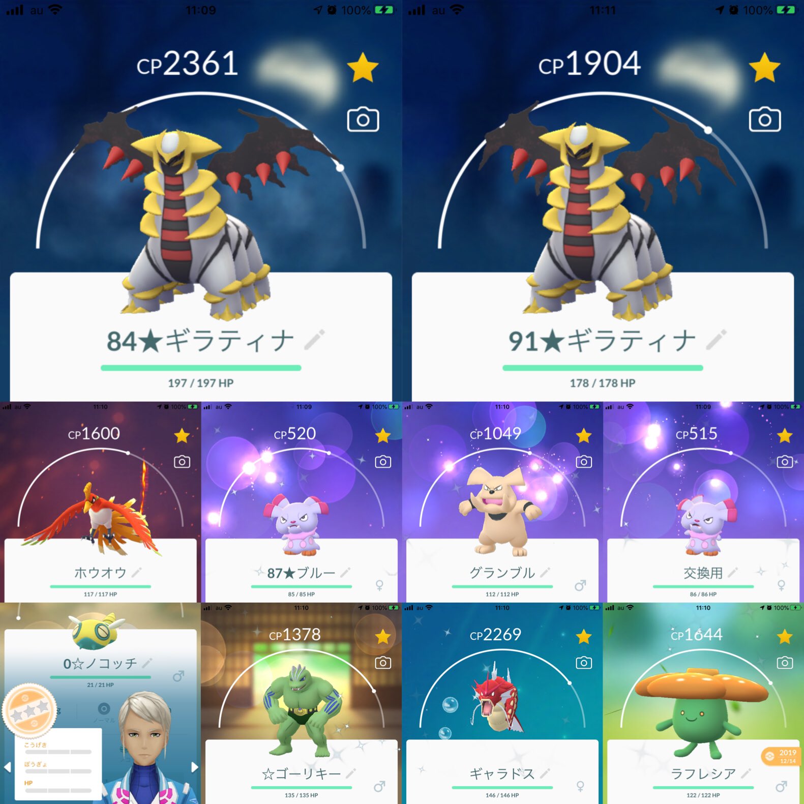 Minton Poteton ポケモンgo こんにちは 今日からツイート再開します ジョウト地方まとめ 色違い13匹 ラフレシアとギャラドスは頂き物 まさかのビリジオン色違い 個体値100が2匹 まだ1時間半ほどありますが私は終了です 今から